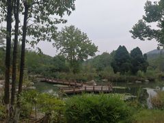-习家池