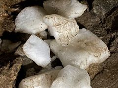 -秦岭终南山世界地质公园翠华山景区