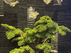 -上足·影院足道·SPA(红岭店)