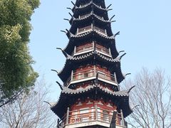 -上海佘山国家森林公园西佘山园