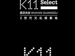 -武汉光谷K11