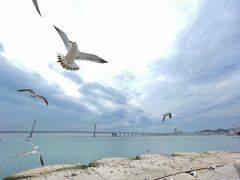 -日丰园海肠水饺·老字号大连海鲜(和平广场店)