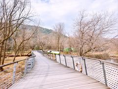 -西湖风景区-江洋畈生态公园