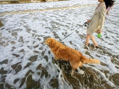 -东海半边山旅游度假区
