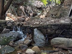 -老张烤羊(王哥庄店)