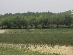 -东郊湿地公园