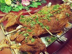 -杨正宗烤全羊(北二环店)
