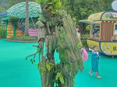 -苏州乐园森林水世界