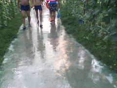-奥帕拉拉水公园