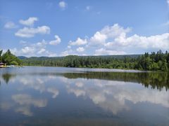 -五营红松林海景区