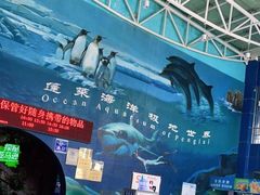 -蓬莱欧乐堡海洋极地世界