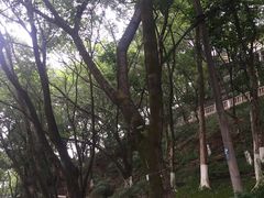 -重庆平顶山公园