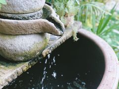 -浙C老邻舍(西城海错店)