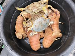 -仙本那渔人码头餐厅