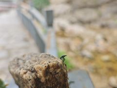 -黑龙潭风景区