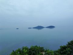 -上海市保健医疗中心(华东疗养院)