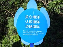 -广东惠东海龟国家级自然保护区