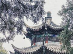 -洛阳白马寺