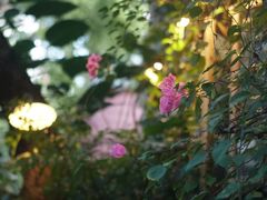 -厦门良筑精品酒店(厦门中山路店)