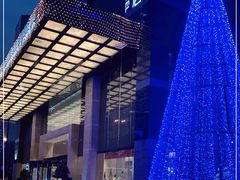 -长沙小天鹅戴斯酒店