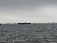 -上海滨江森林公园