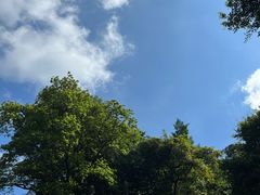 -广州市白云山风景名胜区