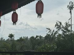 -万兴启丰椰子文化园餐厅