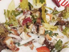 -Tubestation站点比萨(五道营店)