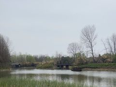 -溱湖国家湿地公园