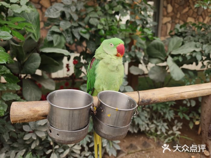 南宫五洲植物乐园图片