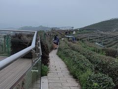 -听风阁农家私房菜茶楼(龙坞店)