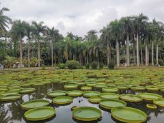 -中国科学院西双版纳热带植物园