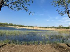 -野鸭湖国家湿地公园