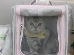 -美联众合动物医院·24h转诊中心