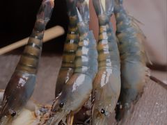 -白仁仔· 活烤海鲜 宵夜(豫园店)