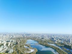 -中央广播电视塔