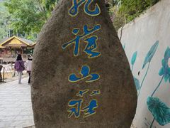 -西双版纳原始森林公园