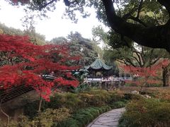 -申粤轩酒楼·三十年粤菜经典(丁香花园店)
