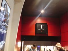 -DFS旗下T广场(新加坡店)