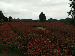 -中国香山·寿香谷