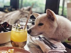 -the rug 飞毯 (朝阳公园店)