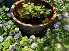 -九月里.自由花园餐厅