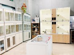 -十年猫舍·猫咪专门店(普陀店)