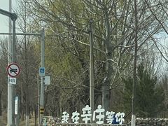 -辛庄国际文化艺术区