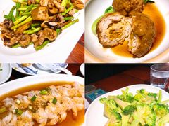 -前海沿·青岛菜(五四广场永旺店)