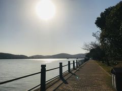 -无锡蠡湖国家湿地公园-蠡园