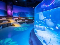 -沈阳海洋探索中心