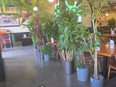 -普兰达德国餐厅·德式脆皮烤猪肘·自酿啤酒(观唐店)