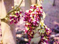 -飞霞风景名胜区