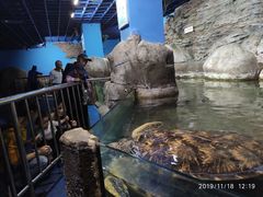 -厦门海底世界